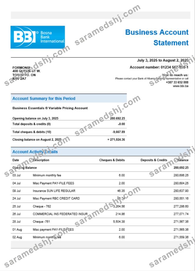 Bosna Bank firm account statement Word and PDF format